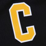 men8217s mitchell amp ness mario lemieux black pittsburgh penguins 199293 blue line player jersey – Toronto Maple Leafs Jerseys and Headwear Collection